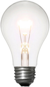 Light Bulb