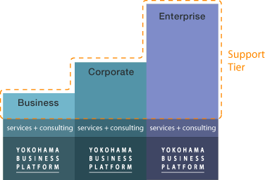 Pricing Tier Model